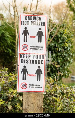 Temporäre "Keep Your Distance"-Schilder in walisischer und englischer Sprache, die während der Covid-19-Krisen an einem Holzpfosten befestigt wurden. Stockfoto