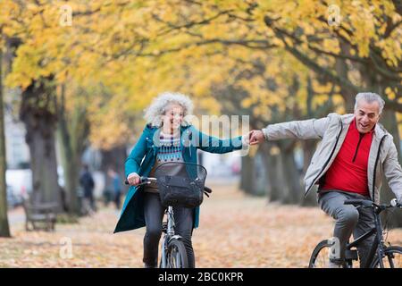 Liebevolles Senioren-Paar hält die Hände, Fahrradfahren im Herbstpark Stockfoto