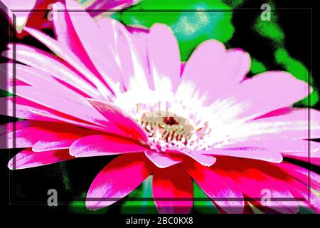 Foto einer Blume mit 3D-Frame-Farbdarstellung bearbeitet. Makro-Fotografie einer Blume als Quellbild..