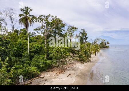 Luftaufnahme des Cahuita Nationalparks entlang der südlichen Karibikküste Costa Ricas. Stockfoto