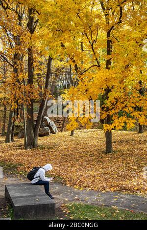 HERBSTFARBEN IN DER NÄHE DER UNIVERSITÄT MONTREAL, CHEMIN DE LA RAMPE PARK, MONTREAL, QUEBEC, KANADA Stockfoto