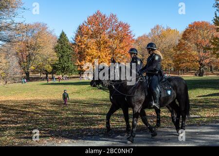 POLIZEIBEAMTE, POLIZEIBEAMTE, MONTED POLICE, MONT-ROYAL PARK IN HERBSTLICHEN FARBEN, MONT-ROYAL PARK IN HERBSTLICHEN FARBEN, MONTREAL, QUEBEC, KANADA Stockfoto