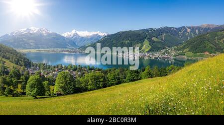 Schöner Panoramablick auf die schöne Berglandschaft in den Alpen mit klarem See und blühenden Blumen in grünen Wiesen an einem sonnigen Sommertag, Österreich Stockfoto