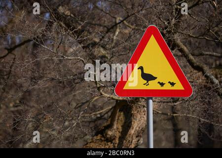 Warnhinweisschild in Helsingborg, Schweden. Stockfoto