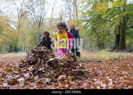 Familie, die im Herbst spielt, verlässt im Wald Stockfoto