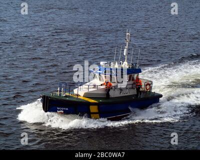 Pilot und Crewman machen sich bereit, ein Schiff vom ABP-Pilotboot Scotia im Firth of Clyde, Schottland, zu Bord zu nehmen Stockfoto