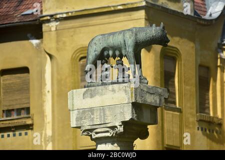 Rumänien, Timis, Timisoara, Statue von Romulus und Rebus, Nachbildung des römischen Originals, Piata Victoriei, Altstadt. Stockfoto