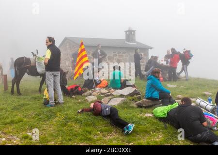 DIE TROUBADE ODER TROBADA, EINE KATALANISCHE TRADITION, KLETTERN DEN CANIGOU-BERG ZU FUSS HINAUF, UM EIN BÜNDEL VON GRAPEVIN-TRIEBEN OBEN ZU PLATZIEREN, (66) PYRENÄEN-ORIENTALES, LANGUEDOC-ROUSSILLON, OCCITANIE, FRANKREICH Stockfoto