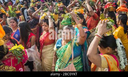 Hindu-Frauen in farbenfrohen Saris nehmen an einer Festprozession und Feier des Chariot-Festivals Teil und tragen Opfergaben auf dem Kopf Stockfoto