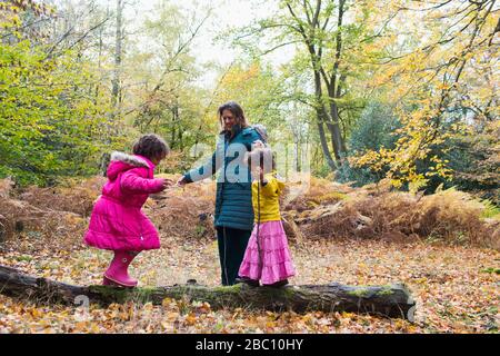 Mutter und Töchter, die auf gefallenen Holzbeinen im Herbstwald spielen Stockfoto