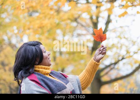 Neugierige Frau hält orangefarbenes Herbstblatt unter Baum im Park Stockfoto