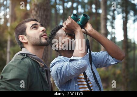 Junge Männer mit Ferngläsern Vogelbeobachtung im Wald Stockfoto