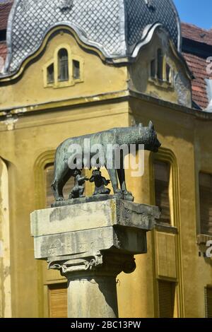 Rumänien, Timis, Timisoara, Statue von Romulus und Rebus, Nachbildung des römischen Originals, Piata Victoriei, Altstadt. Stockfoto