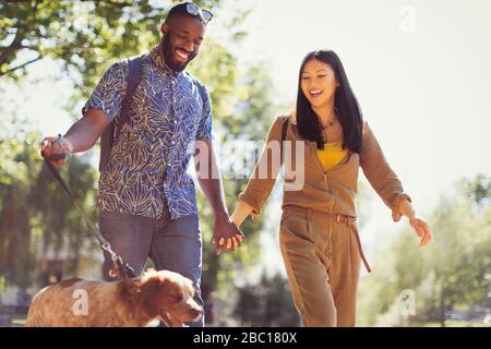 Lächelndes junges Paar, das Hund im sonnigen Park spazieren geht Stockfoto