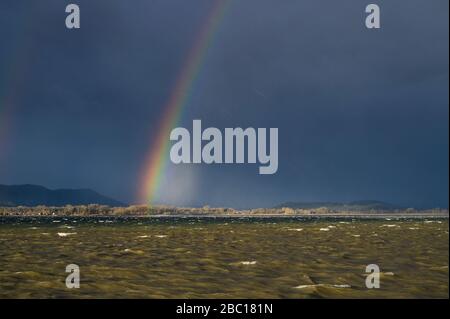 Deutschland, Baden-Württemberg, Radolfzell am Bodensee, Regenbogen über dem Bodensee bei Sturm Stockfoto