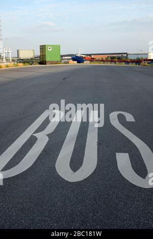 Wort 'Bus' auf Asphalt, Hamburg, Deutschland Stockfoto