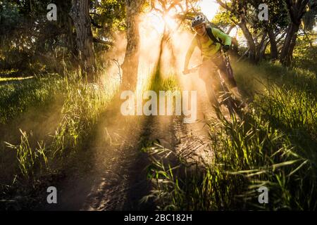 Weibliche Moutainbiker fahren auf Feldweg während Sonnenuntergang, Fort Ord National Monument Park, Monterey, Kalifornien, USA Stockfoto