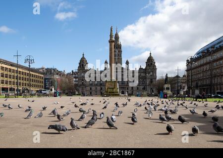 Glasgow, Schottland, Großbritannien. April 2020. Tauben füllen einen fast menschenleeren George Square während der Coronavirus Krisenkredite: Kay Roxby/Alamy Live News Stockfoto