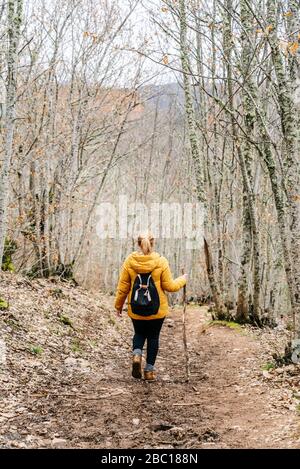 Wandererinnen auf Wanderwegen im Wald, in der Nähe von Mina de Oro Romana, Las Medulas, Kastilien und Leon, Spanien Stockfoto