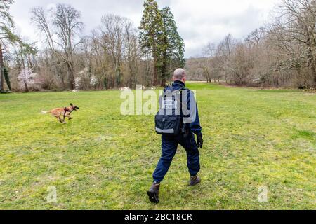 HUNDEFÜHRER DER FEUERWEHR UND SEIN HUND, MALINOIS ODER BELGISCHER HIRTE, AUF DER SUCHE NACH VERLORENEN PERSONEN, SDIS 77, SEINE ET MARNE, ILE DE FRANCE Stockfoto