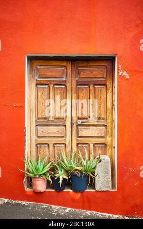 Alte Holztür mit Topfpflanzen in orange bemalter Wand. Stockfoto