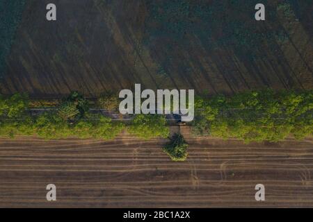 Deutschland, Brandenburg, Drone Ansicht der baumgetraenen Landstraße, die durch landwirtschaftliche Felder schneidet Stockfoto