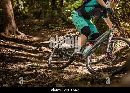 Frau, die auf dem Waldweg Mountainbike fährt, Santa Cruz, Kalifornien, USA Stockfoto