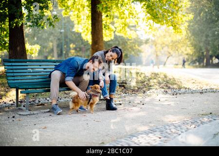 Glückliches junges Paar mit Hund in einem Park auf einer Bank sitzen Stockfoto