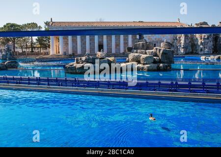 Rost, Deutschland. April 2020. Eine Ente schwimmt am Pool, wo die Achterbahn Poseidon im Europa Park normalerweise viel Wasser spritzt. Der meistbesuchte Vergnügungspark im deutschsprachigen Raum ist derzeit wegen der anhaltenden Coronakrise geschlossen. Kredit: Philipp von Ditfurth / dpa / Alamy Live News Stockfoto