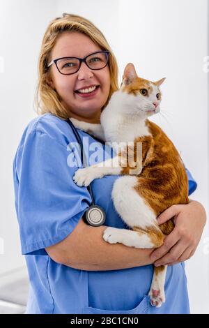 Porträt von lächelnden Frau hält Katze in der Tierklinik Stockfoto