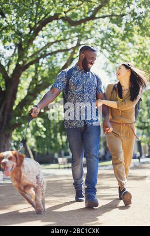 Lächelndes, glückliches junges Paar, das Hund im sonnigen Park spazieren geht Stockfoto