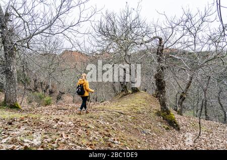 Wandererinnen auf Wanderwegen im Wald, in der Nähe von Mina de Oro Romana, Las Medulas, Kastilien und Leon, Spanien Stockfoto