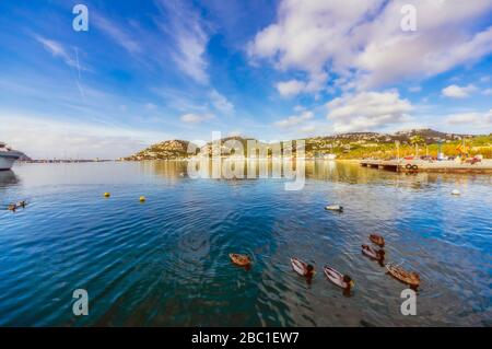 Spanien, Balearen, Mallorca, Andratx-Region, Port d'Andratx, Naturhafen Stockfoto