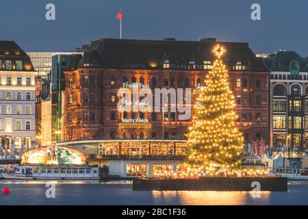 Deutschland, Hamburg, beleuchteter Alstertanne Baum in der Dämmerung mit Jungfernstieg Promenade im Hintergrund Stockfoto