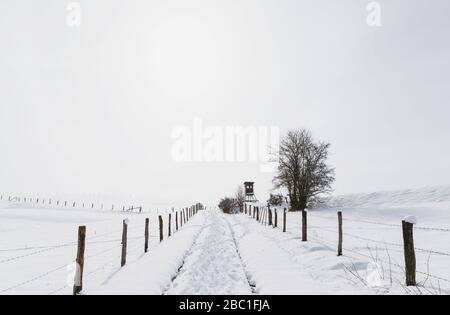 Deutschland, Nordrhein-Westfalen, Zäune entlang der schneebedeckten Straße im Naturpark Hochfenstein - Eifel Stockfoto