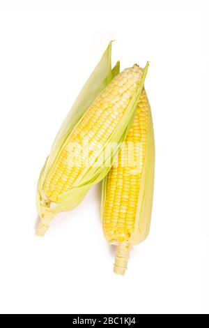 Süßer Mais mit Blättern isoliert auf weißem Hintergrund, kreatives Layout aus Mais. Stockfoto
