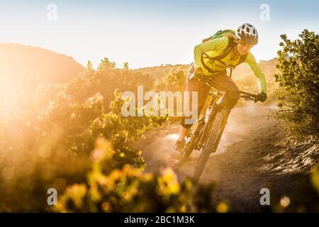 Weibliche Moutainbiker fahren auf Feldweg während Sonnenuntergang, Fort Ord National Monument Park, Monterey, Kalifornien, USA Stockfoto