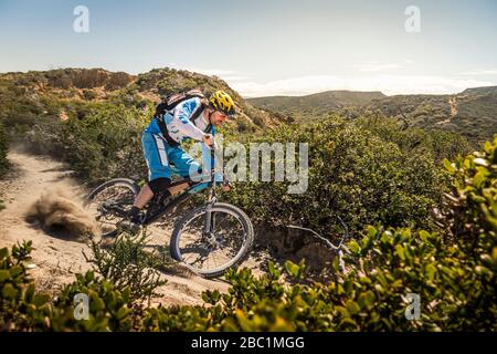 Mann, der auf einem Singletrail mit dem Mountainbike fährt, Fort Ord National Monument Park, Monterey, Kalifornien, USA Stockfoto