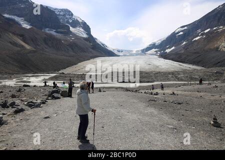 Der Athabasca-Gletscher ist einer der sechs wichtigsten "Zehen" des Columbia Icefield Stockfoto