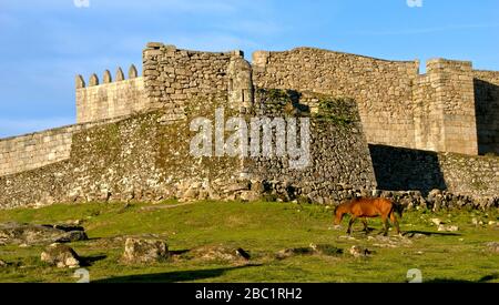 Pferd in der Nähe des Schlosses Lindoso im Nationalpark Peneda Geres, Portugal Stockfoto