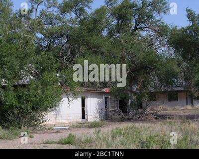 Verfallene, von Bäumen bedeckte Gebäude in der Geisterstadt Glenrio, einer der Geisterstädte Amerikas an der Route 66 an der Grenze von New Mexico und Texas. Stockfoto