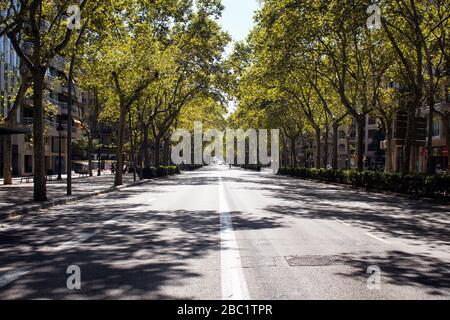 Blick auf eine der Hauptstraßen "Gran Via de les Corts Catalanes" in Barcelona. Bäume und ihre Schatten schaffen dramatische Szenen. Es ist ein sonniger Stockfoto