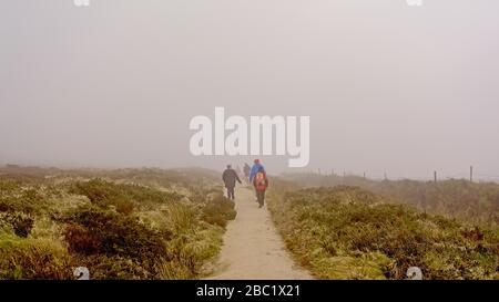 Eine Gruppe von Menschen, die auf den nebligen Ticknock Mountains, Dublin, Irland, auf dem Wanderpfad durch die Heide spazieren gehen, Blick von hinten Stockfoto