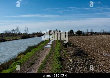 Eine Frau, die auf einem Wanderweg entlang des Kennet & Avon Kanals in Wiltshire radelt Stockfoto