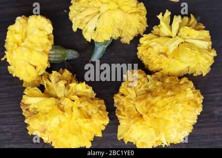 Marigaltes Blumenrangoli Design für das Ugadi Festival Stockfoto