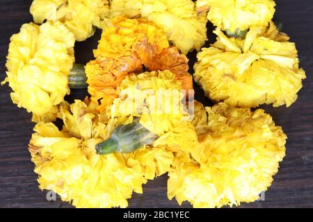 Marigaltes Blumenrangoli Design für das Ugadi Festival Stockfoto