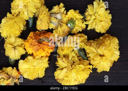 Marigaltes Blumenrangoli Design für das Ugadi Festival Stockfoto