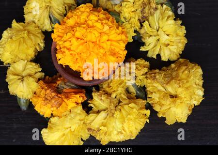 Marigaltes Blumenrangoli Design für das Ugadi Festival Stockfoto