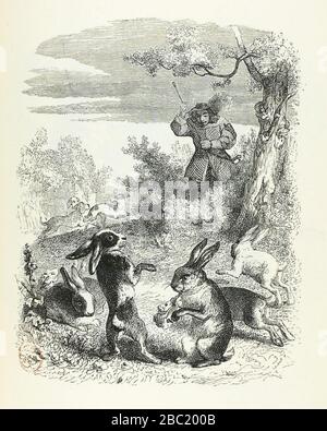 Grandville - Fables de La Fontaine - 10-15 . Les Lapins. Stockfoto
