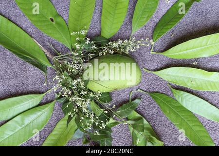 Ugadi telugu Neujahr andhrula pachadi. Stockfoto